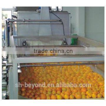 Turnkey Project of Orange Fruit Juice Processing Line