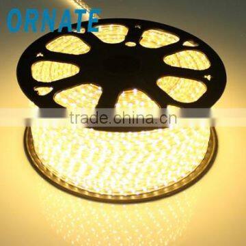 Super Power waterproof led 5050 220V light strip high voltage