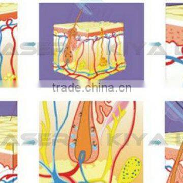 Kiyalaser Manufacturer! Acne Treatment Products