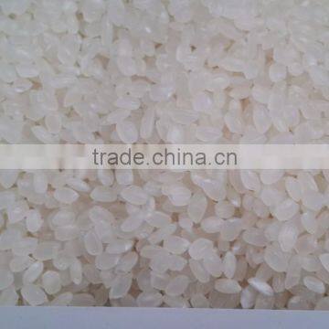 JAPONICA RICE CROP 2015