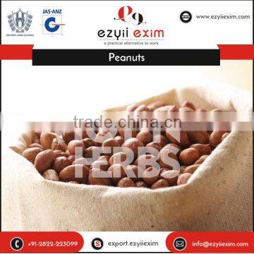 High Protein Rich Roasted Peanuts Available for Bulk Exporting