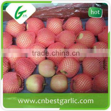 Chinese nutritious royal fresh red gala apple fruit