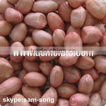 red Peanut Kernels