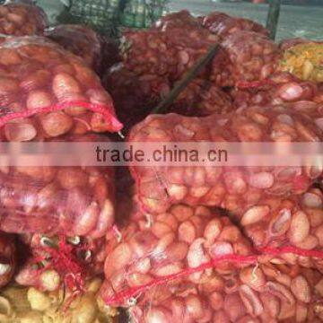 Dried coconut copra from Thailand