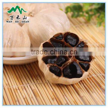 Fermented black garlic make by black garlic maker