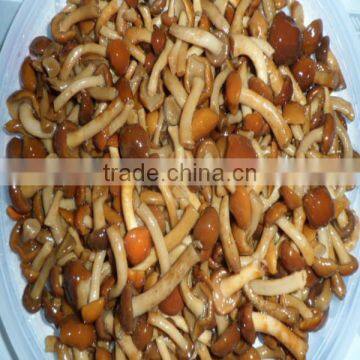 Liaoning nameko mushrooom brined plastic drums nameko mushrooom salted