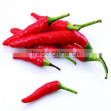 new Korean parents imported hybrid F1 early maturing red hot pepper