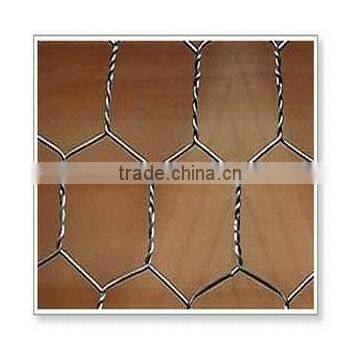 Hexagonal - Sparrow Netting