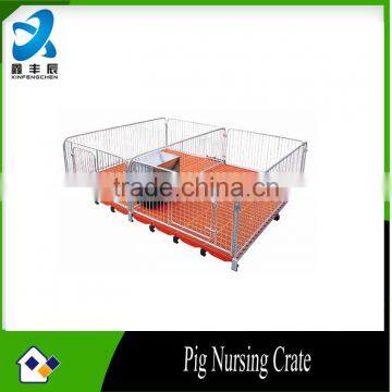 nursing crate for piglet