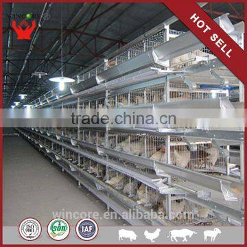China Supplier Automatic Chicken Cage For Sudan Farms
