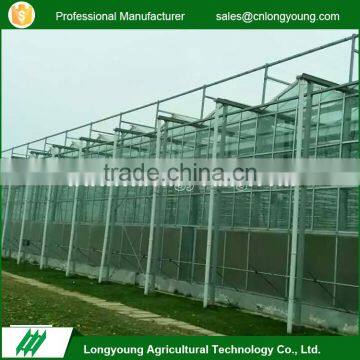 Latest design cooling systems stable structure vegetables greenhouse glass