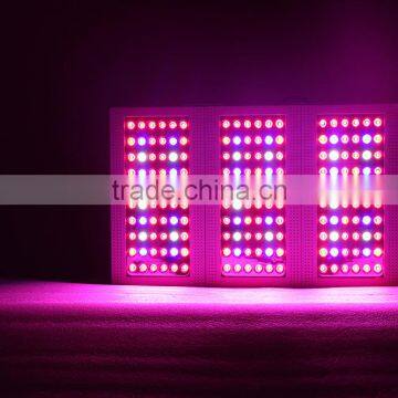 Full Spectrum Led Grow Light Bulb Full Spectrum 360w Panel Grow Led Light Led Grow Equal 600w Hps Led Grow Light photo-4