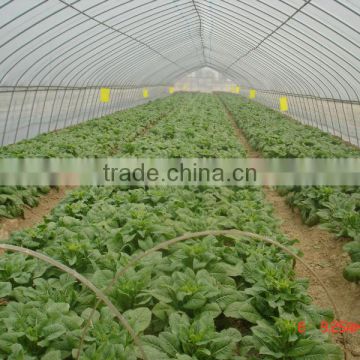 PE cover film PE greemhouse film for vegetable greenhouse