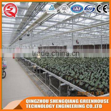 Garden Greenhouse Glass Greenhouse With Seed Bed Made in China