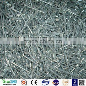 Polished Common Nail (Factory) photo-4