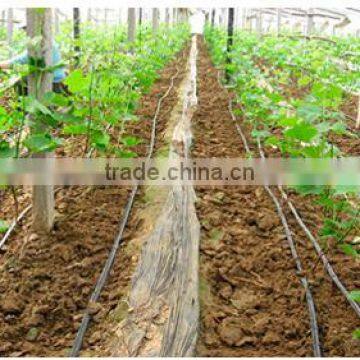 Drip Irrigation Pipe Price photo-6