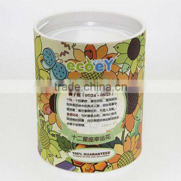 Fashion Twelve constellations lucky flower potted plant -sunflower