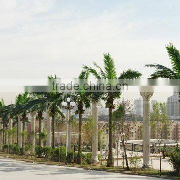 Chinese Fake Coconut Tree Decoration Hotle Manufacture Longlife Time Artificial Outdoor Palm Trees photo-2