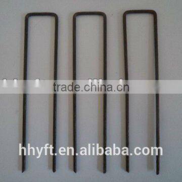 6.5ga Electro Galvanized Steel Sod Nail With Sharp Point on Sale photo-2
