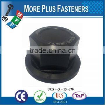 Made in Taiwan Various Type of Cap Nut photo-3