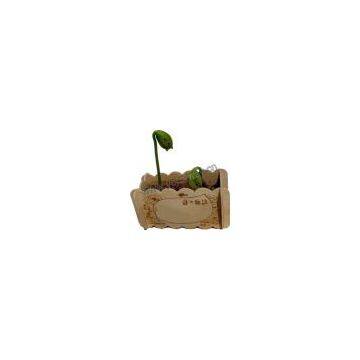 Wooden packing Magic Bean,magic Egg,mini Plant