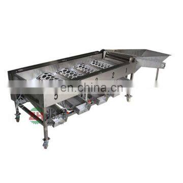 Efficient Vegetable and Fruit Sorting Machine/tomato Grader /orange Sorting Machine photo-2