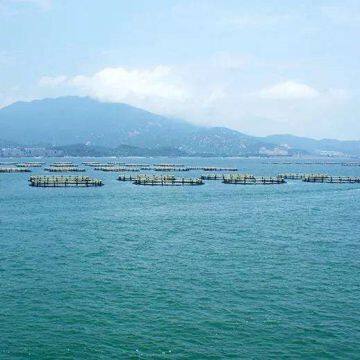 Sea Cage Fish Farming Anti-wind Floating Net Cage