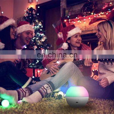 High Quality Hot Selling Bedroom LED Rechargeable Modern Decorative  Remote  Control Apple night light