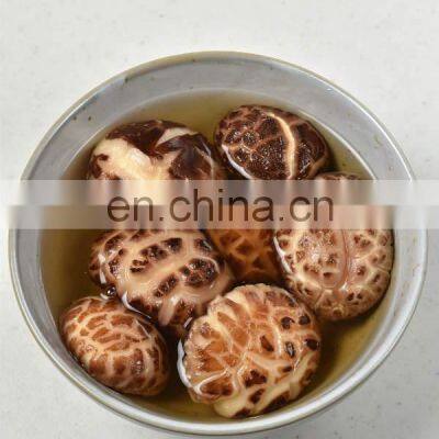 Organic Dried Shiitake Mushroom for Cooking/High Quality Flower Mushroom/Best Prices Dried Shiitake Mushroom From Vietnam photo-2