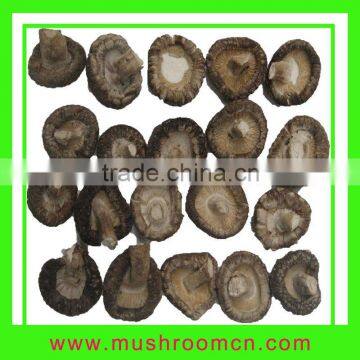 Bulk dried mushrooms