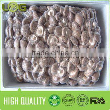Hot Sale Smooth Surface Fresh Shiitake Mushroom