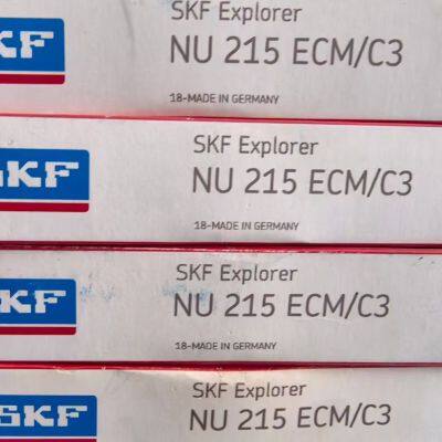 6015 2RS SKF NSK NTN Koyo Timken THK Deep Groove Ball Bearing Taper Roller Bearing