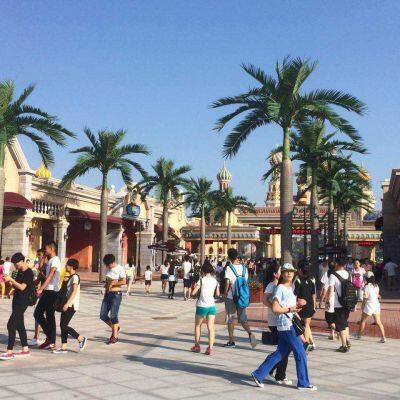 Factory Make High Quality Types of Palm Trees 12 Foot UV Resistant Outdoor Ornamental Artificial Large Date Palm Coconut Tree photo-4