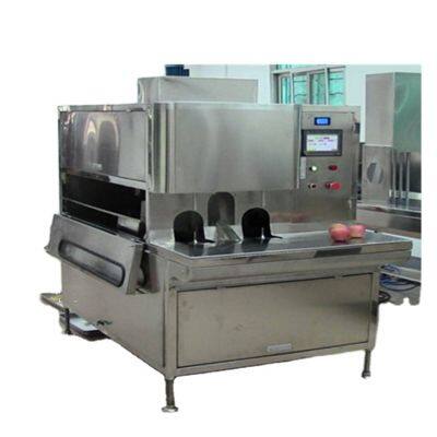 Машинка для очистки манго от кожуры в линии обработки фруктов. Чипсы из манго