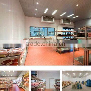 High Performance Commercial Refrigerators and Freezers for Hotel
