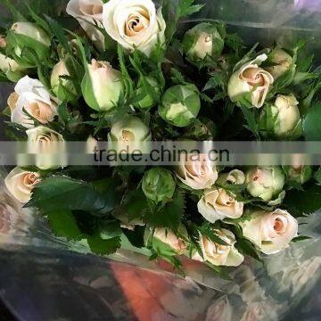 New OEM Fresh Rose Flower photo-5
