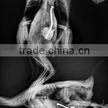 fuji ct scan film,medical thermal x ray film,x-ray goggles,manufactures to chinese