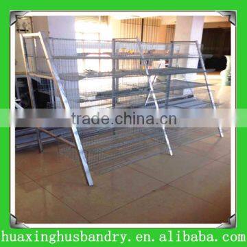 china new design best selling quail laying cage