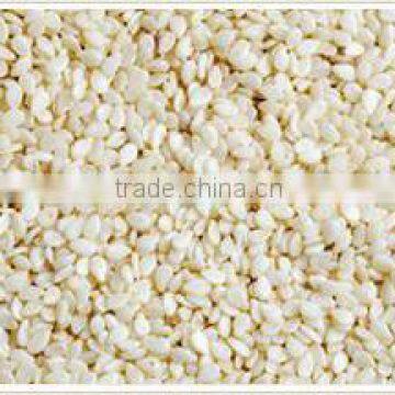 Hulled WaterMelon Seeds photo-2