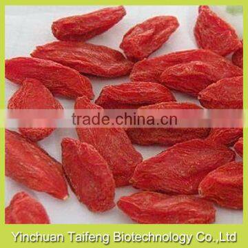 bulk organic gojiberry with good price