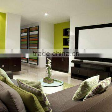 100 inch projection screen