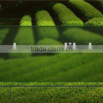 3 Inch Car Dvd With Touch Screen, With USB/SD, AM/FM Private Tooling photo-5