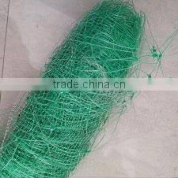 100% PP Plastic Fruit Cage Roof Netting/Fruit Protection Net photo-6