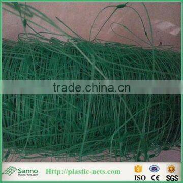 100% PP Plastic BOP Net/ Plastic Stretching Net photo-5