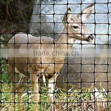 High Tensile Plastic Deer Mesh photo-2