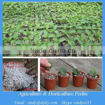 Horticultural And Agriculture Perlite Supplier
