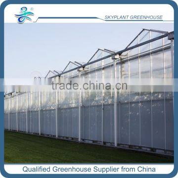 Polycarbonate Sheet Greenhouse for flower growing