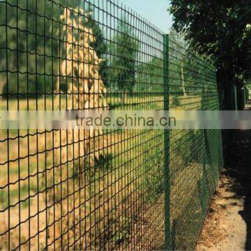 2016 hot selling Welded Wire Mesh for animal husbandry