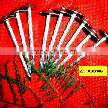 Electo Galvanized Smooth Umbrella Head Roofing Nails photo-6