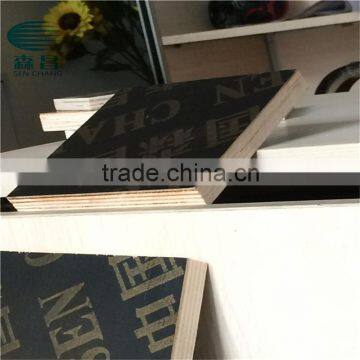 3*6 film faced plywoodFilm face waterproof plywood/best price film coated plywoods